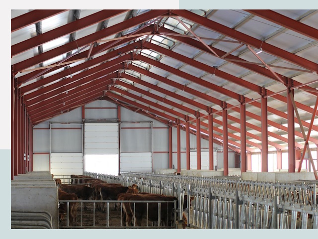 Строительство коровников в Славгороде