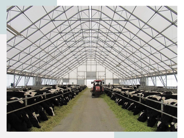 Тентовые коровники в Славгороде от 624 руб. - Надежно и доступно